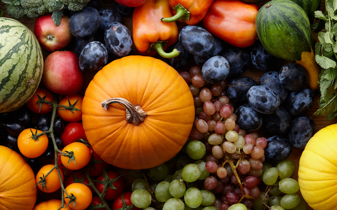 From Farm to Table: The Fall Harvest Supply Chain 