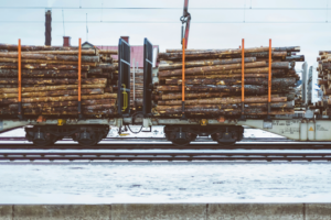 Beyond the Building: Unpacking the Lumber Industry 