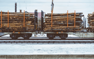 Beyond the Building: Unpacking the Lumber Industry 