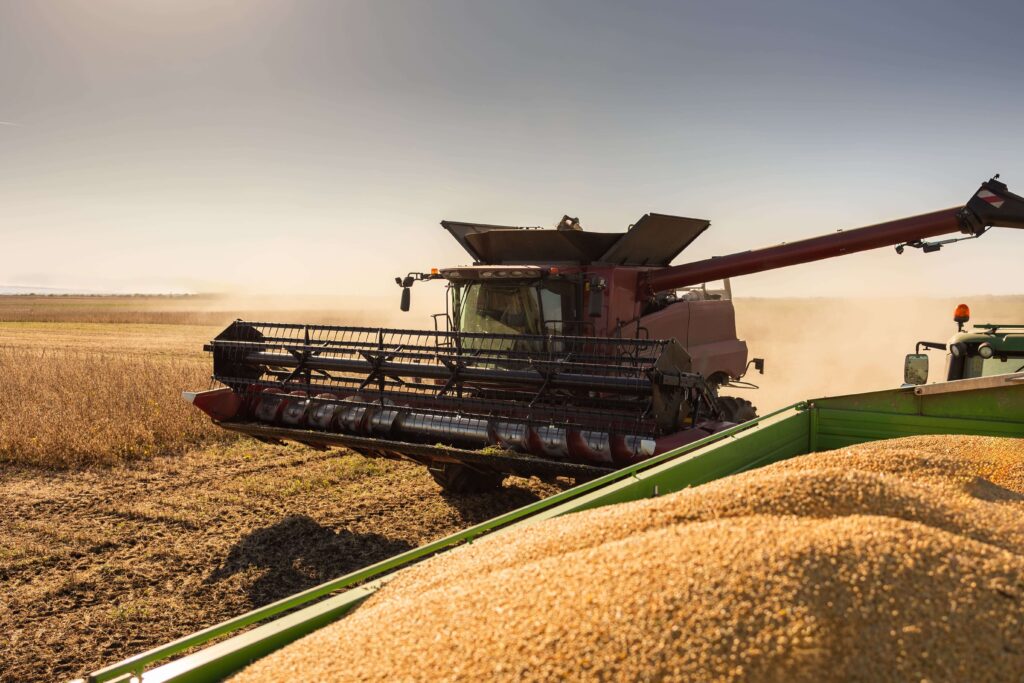 agriculture