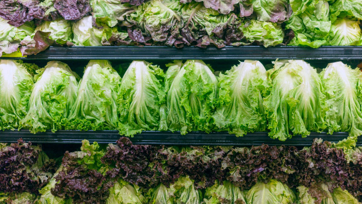 Lettuce